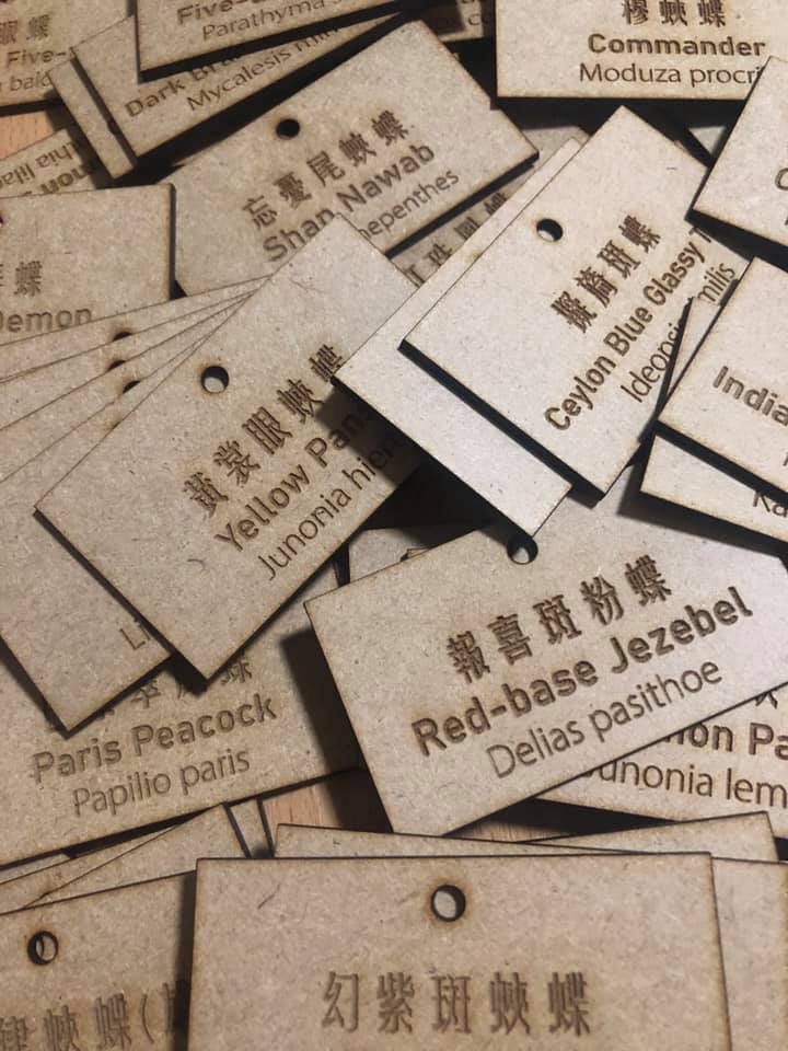 211081004_365564124913914_1201358723215855281_n