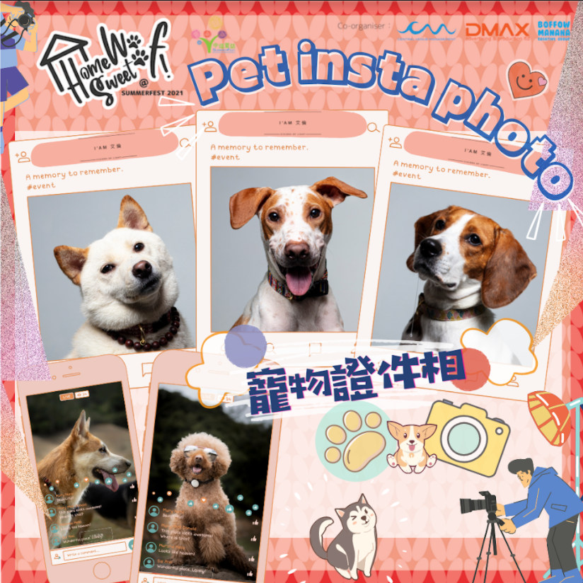 dc7fd717f8f592a94117ce8f489fcda
