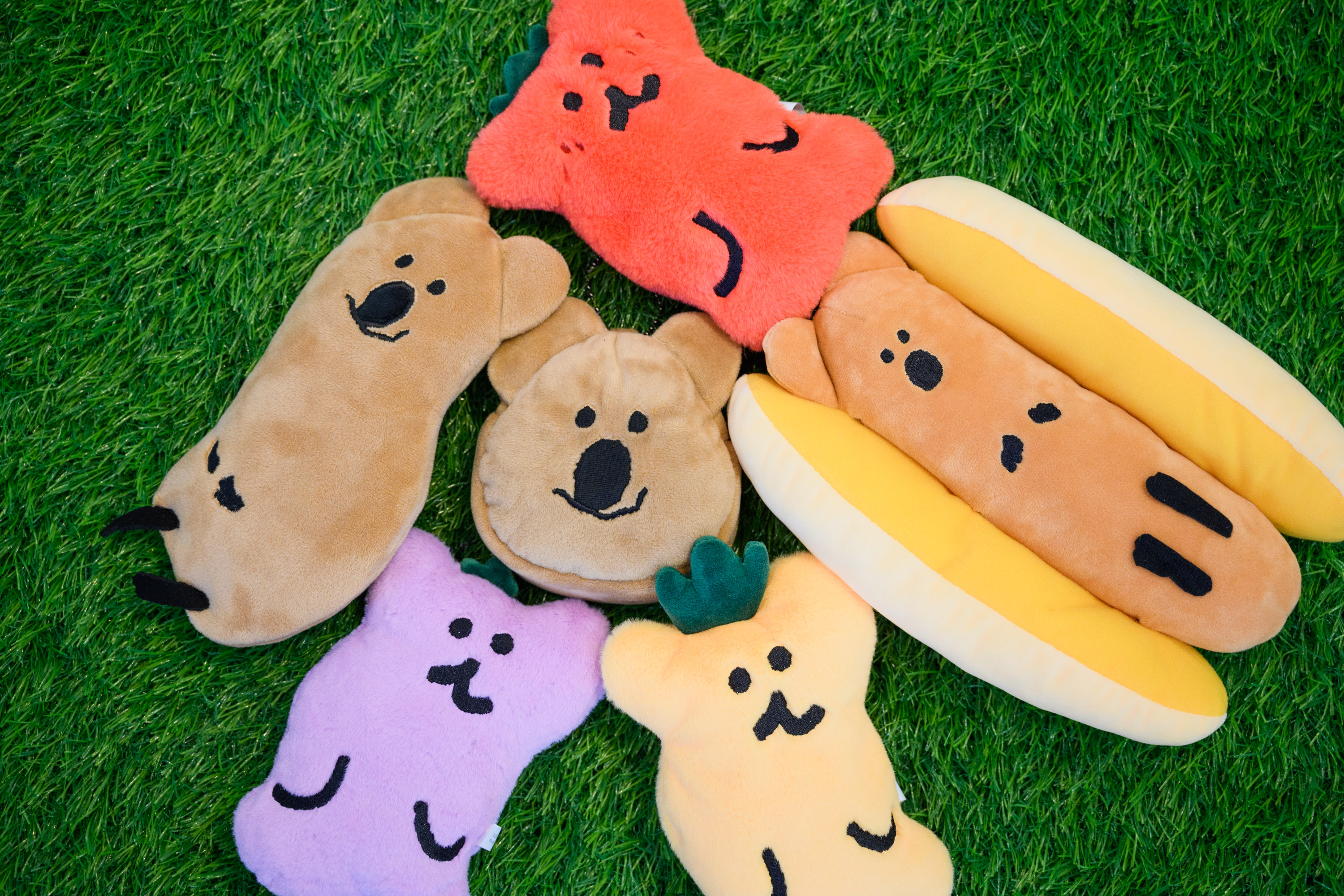 j0909bpjlplsy5quwanl