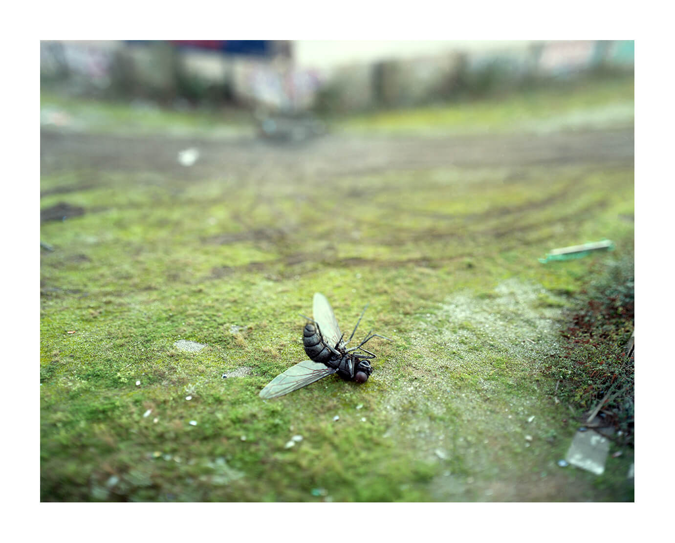 sxrp3sjyvsxl2ddbdk05