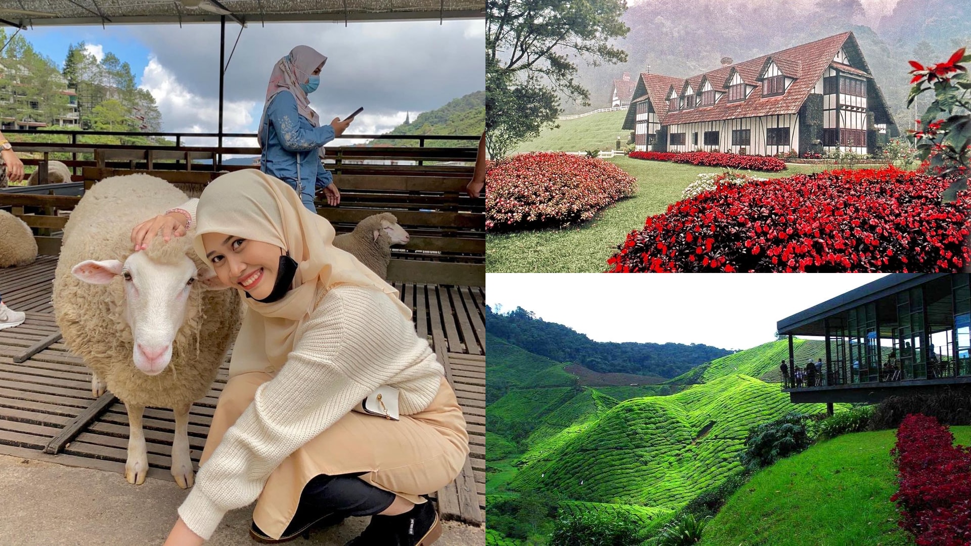 8 Tempat Menarik Di Selangor: Destinasi Day Trip Tak Sampai 2 Jam Dari KL!  - Blog Klook Travel