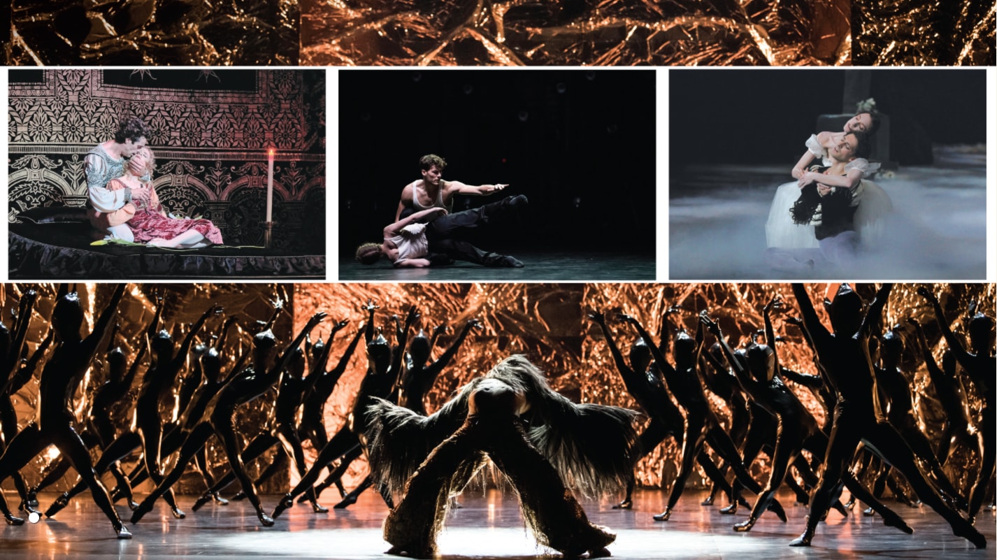 Paris Opera Ballet | Online Performances