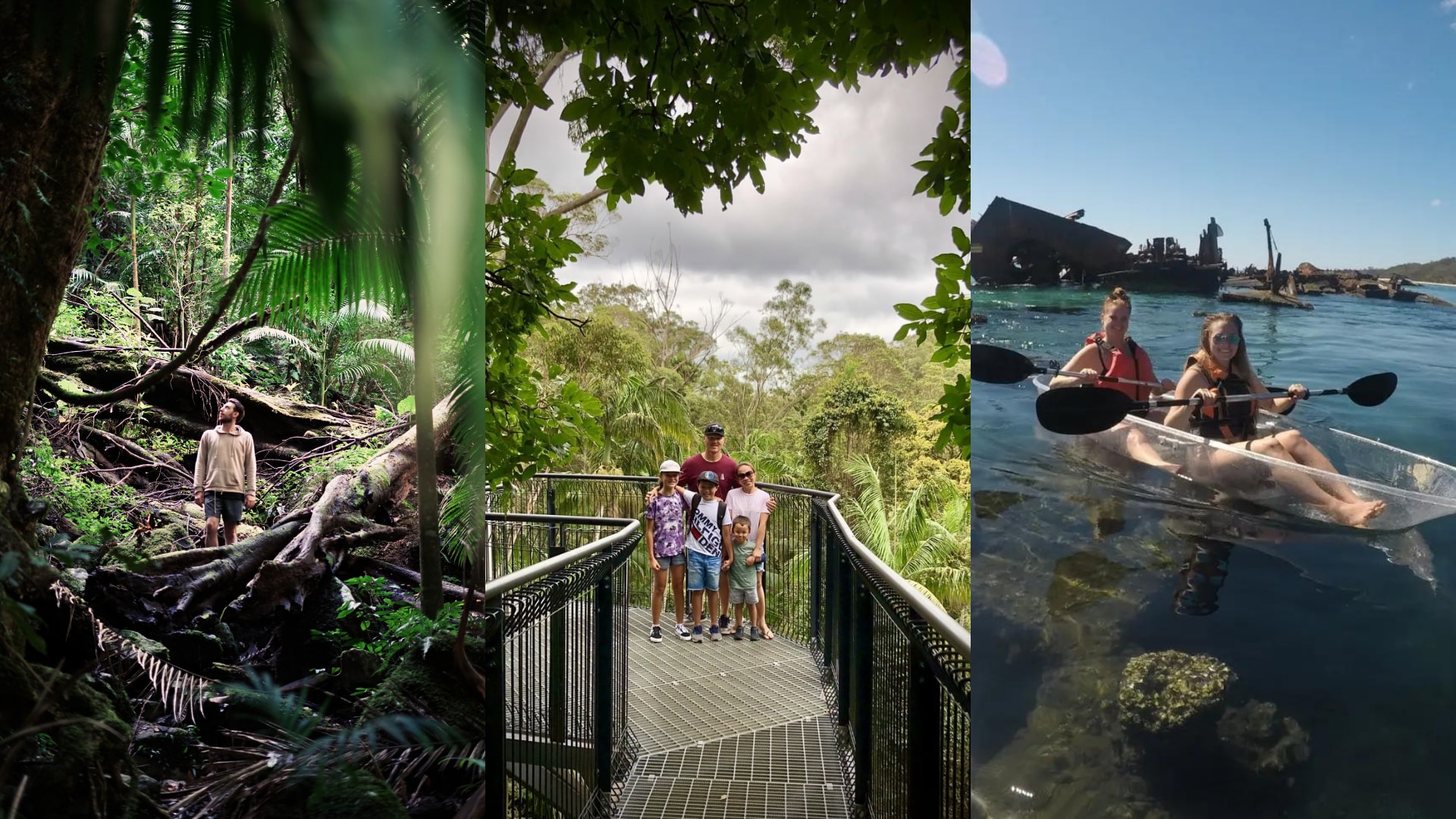 10 stunning walks at the royal national park ranked by grade klook travel blogklook travel