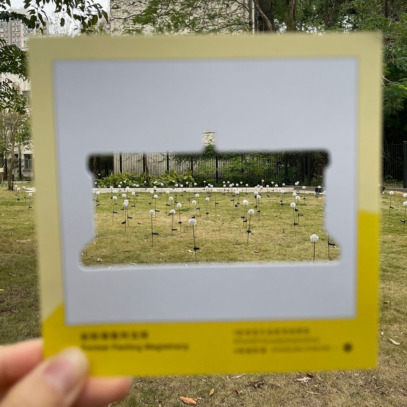 269656989_5093053380717908_4347003092636071072_n