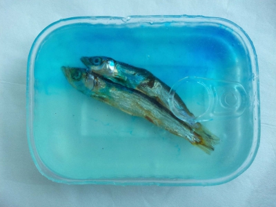 20211111_175031_ufKNFUoEmB_p_600_300