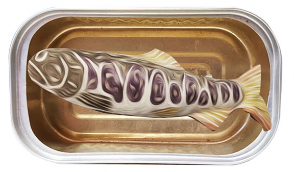 20211111_175029_Mw0OFUB4eW_p_600_400