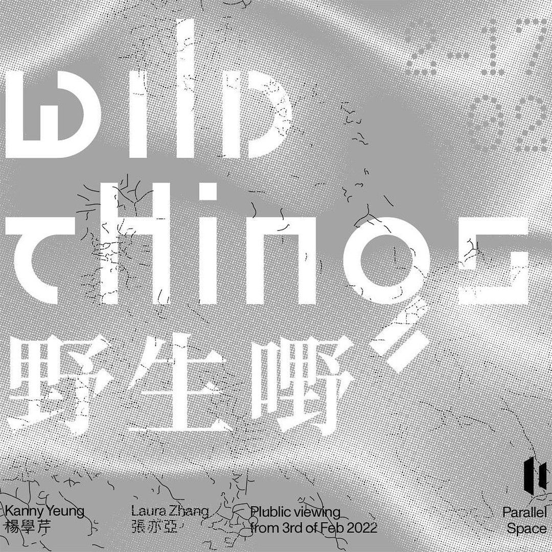 f037168c9fbcb0be53bad48bb9e0f8603