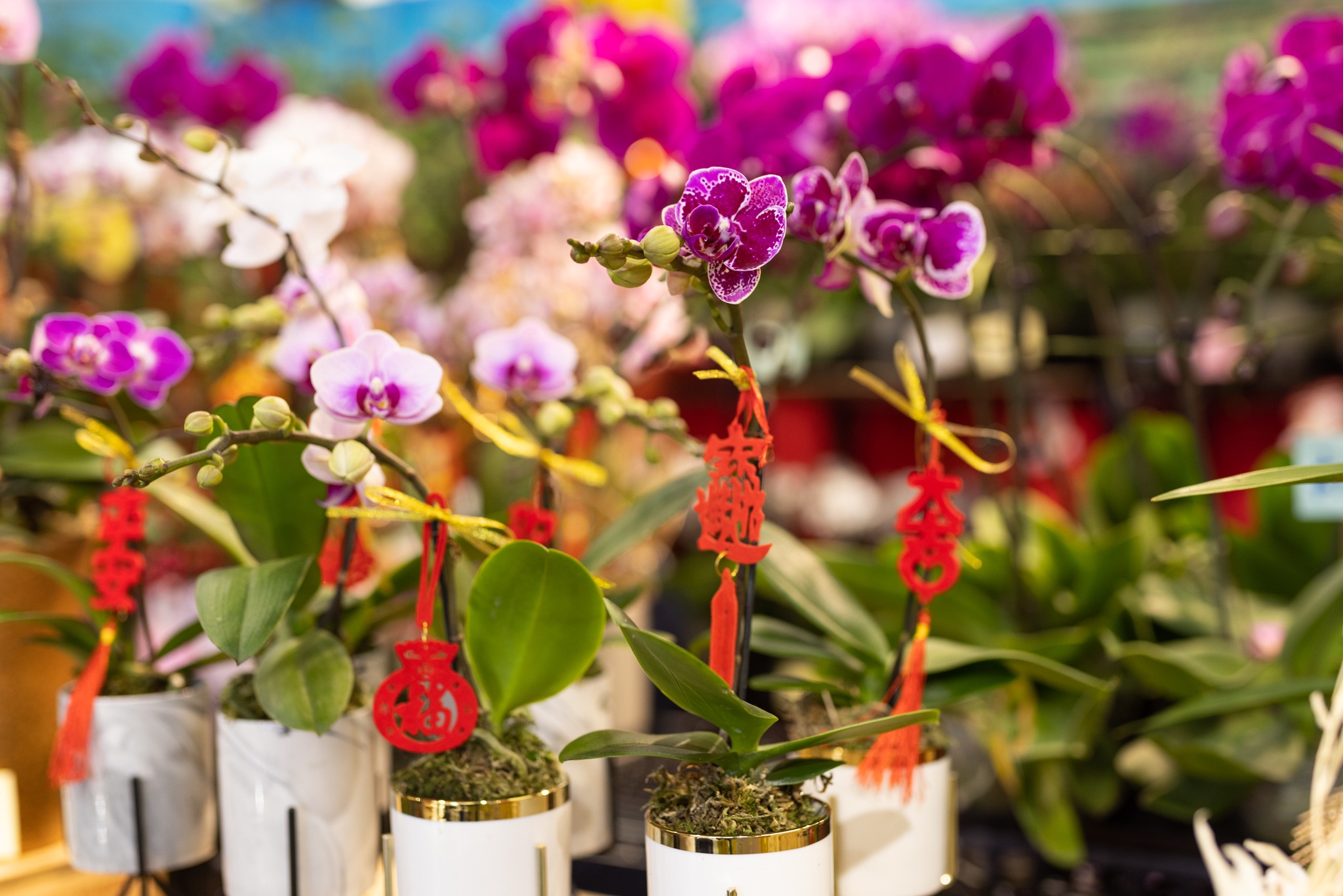 272245261_305120264968503_8353147463727871749_n