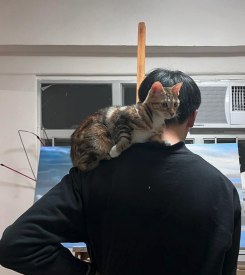 截屏2022-04-07 下午3.09.46