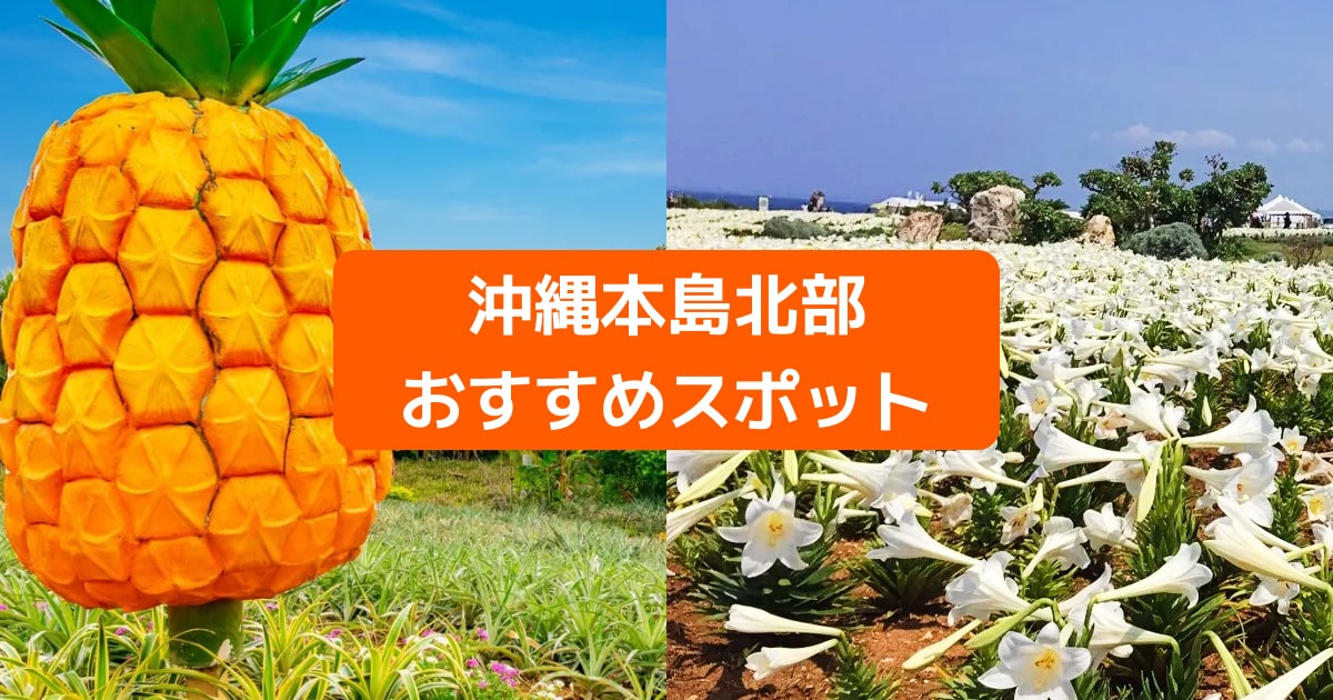 沖縄北部で観光するなら 定番から穴場までおすすめ観光スポット9選 Klookブログ