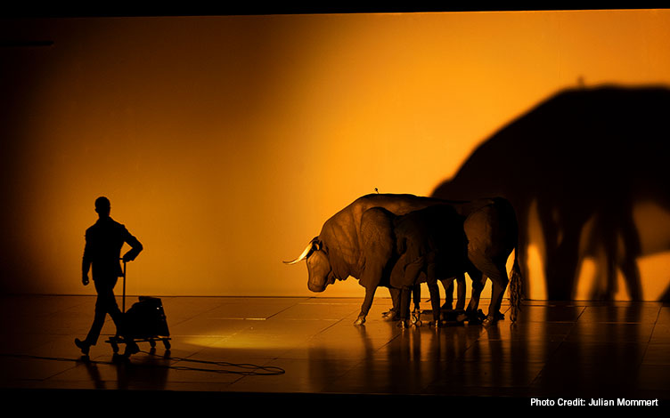 transverse-orientation-05