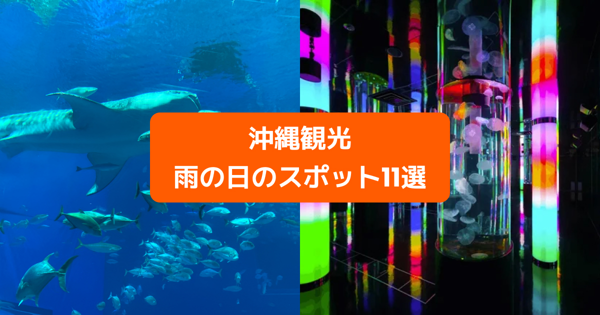 東京近郊 おすすめ水族館11選 次の休日に行くならどこにする Klookブログ