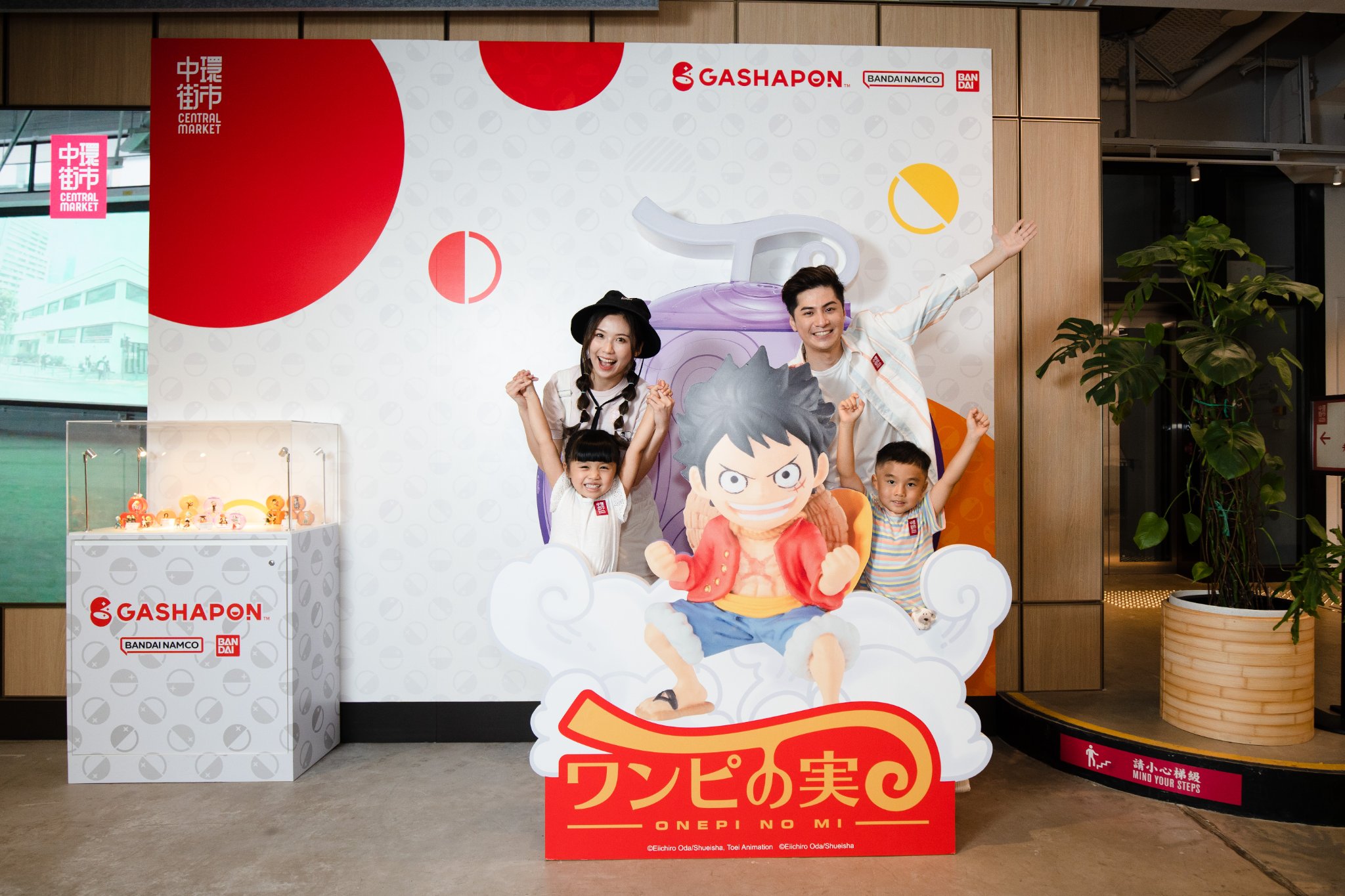 294026244_420371720110023_1648122048085663954_n