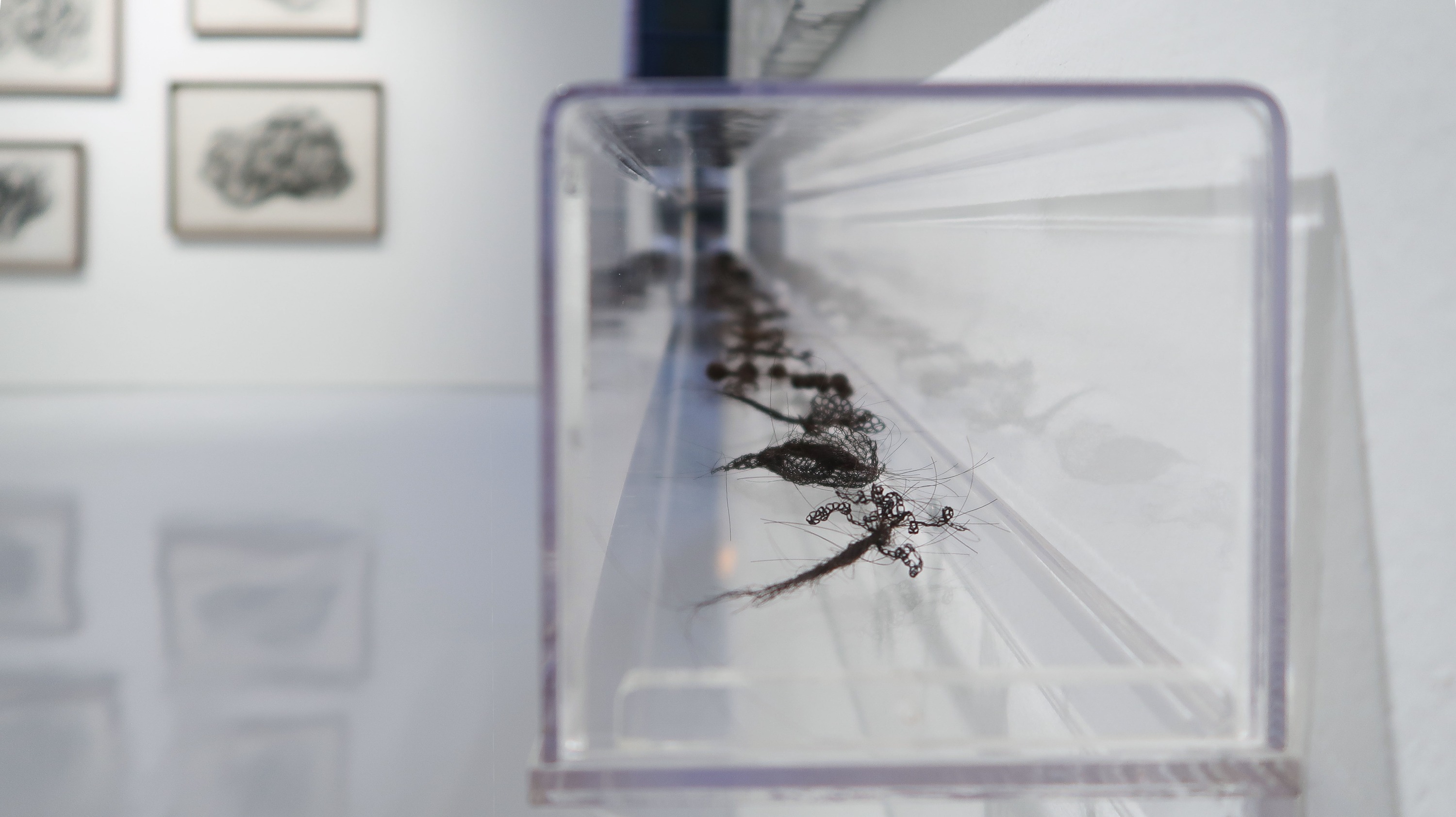 RKFA-SG_install-shots_Breathe_7