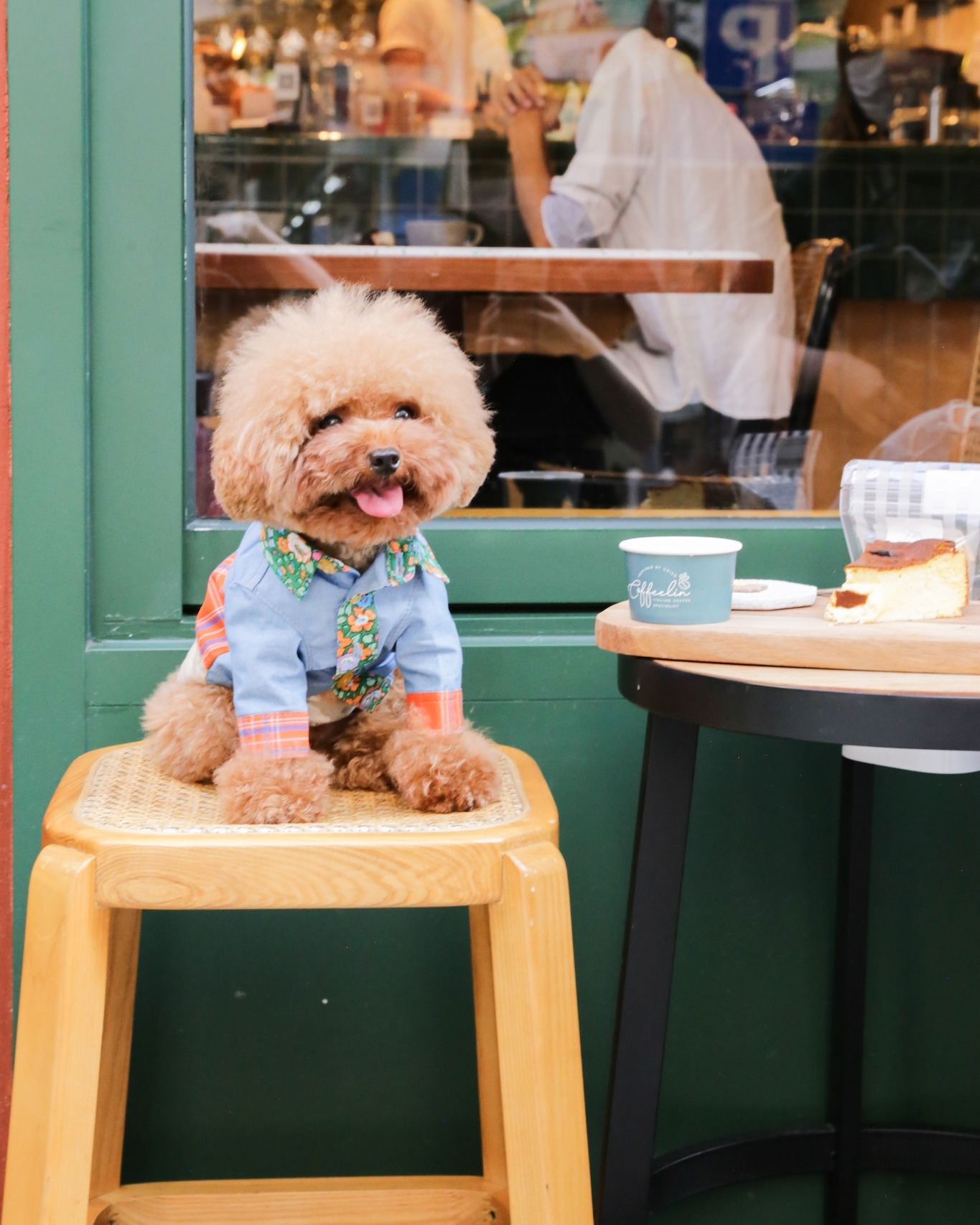 305456822_10160157985049731_6166407854684342052_n