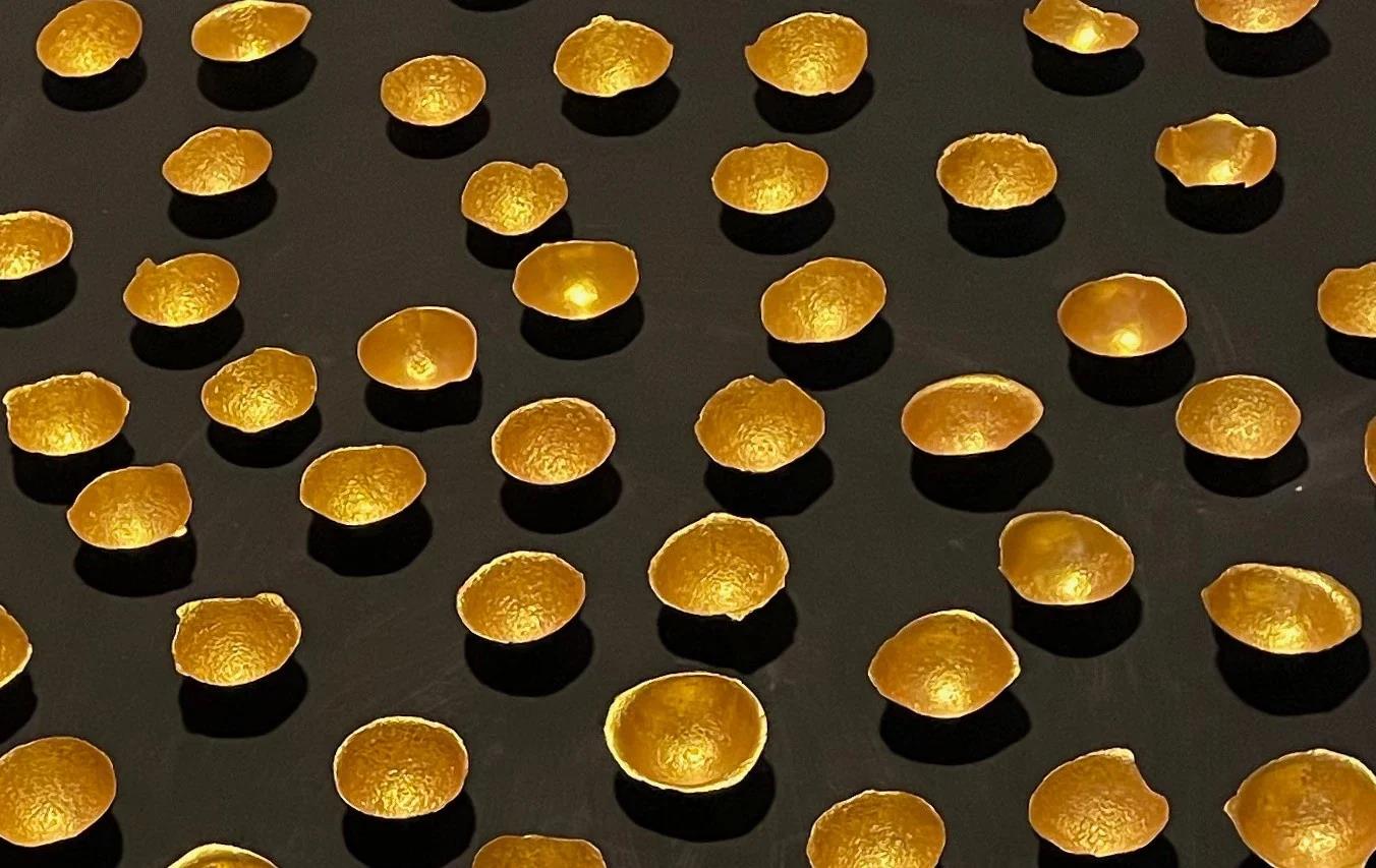 61d66615432d20b4325e4eb3aa2f35c