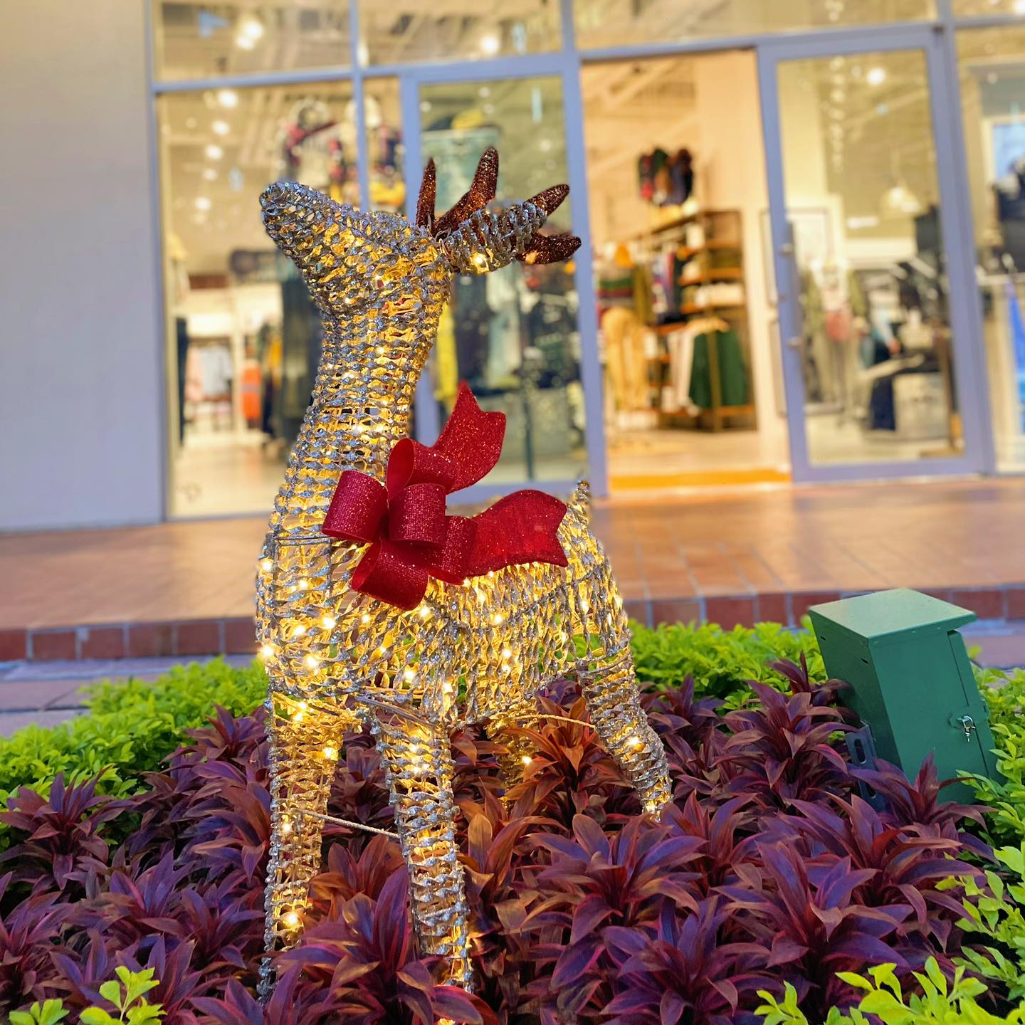 313987908_429662886024963_773179423197329215_n