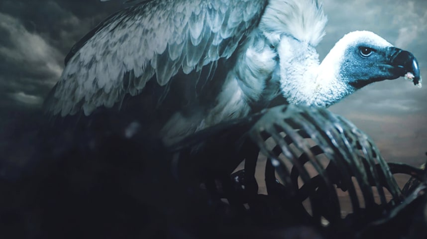 截屏2022-11-23 18.49.42