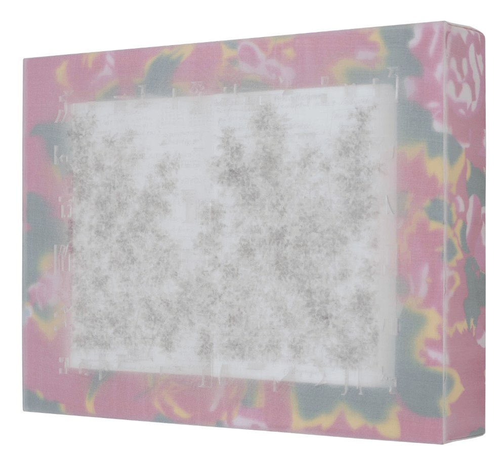 截屏2022-11-28 12.26.09