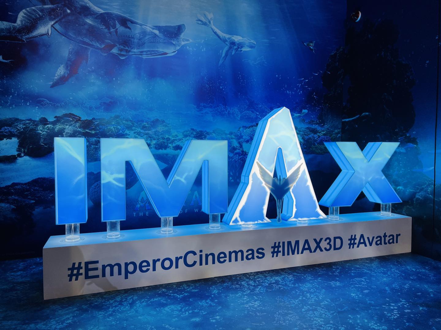 317997084_511344480776004_1455545514744830999_n