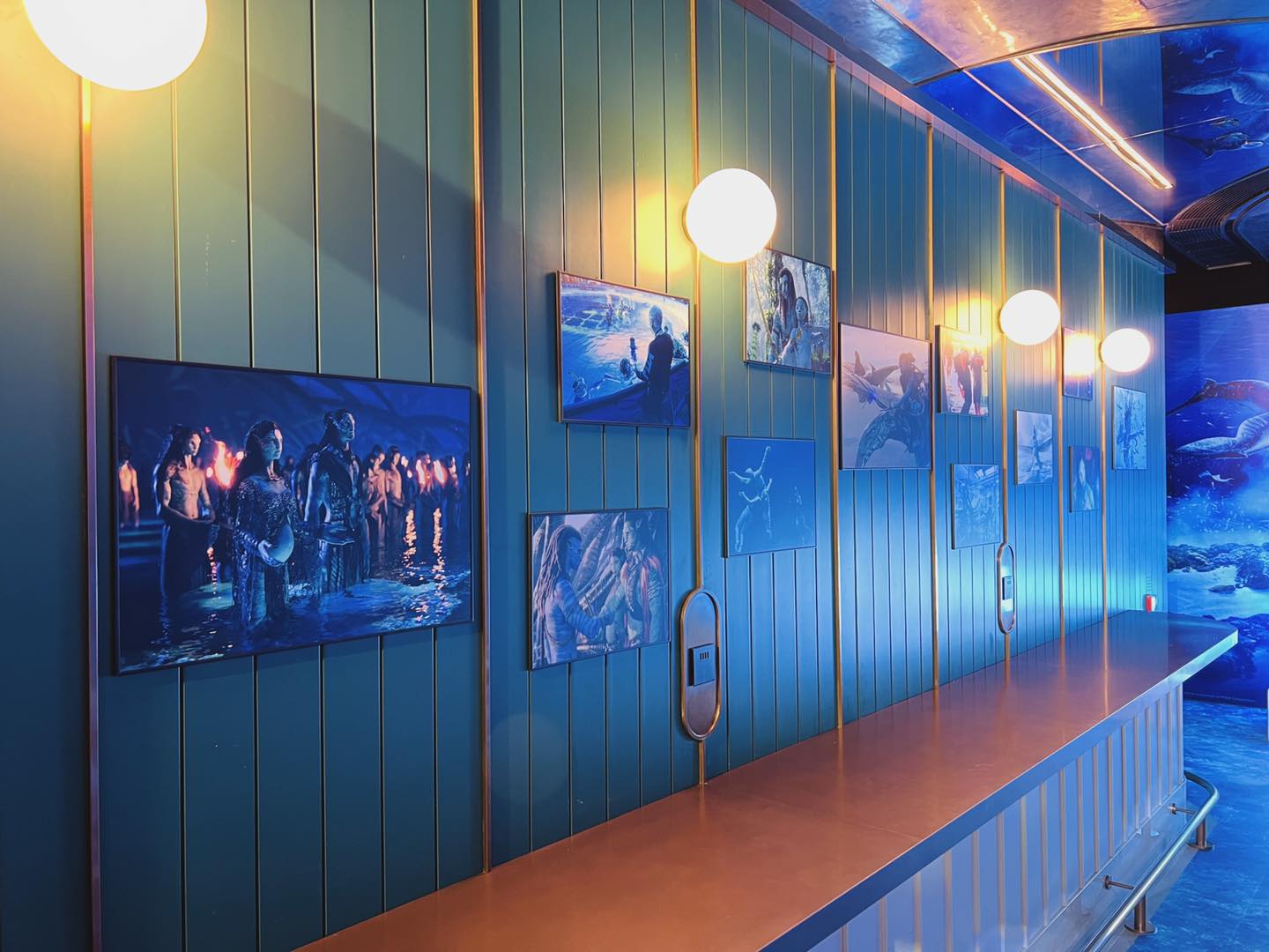 319313102_918600922639272_1878124301636643176_n