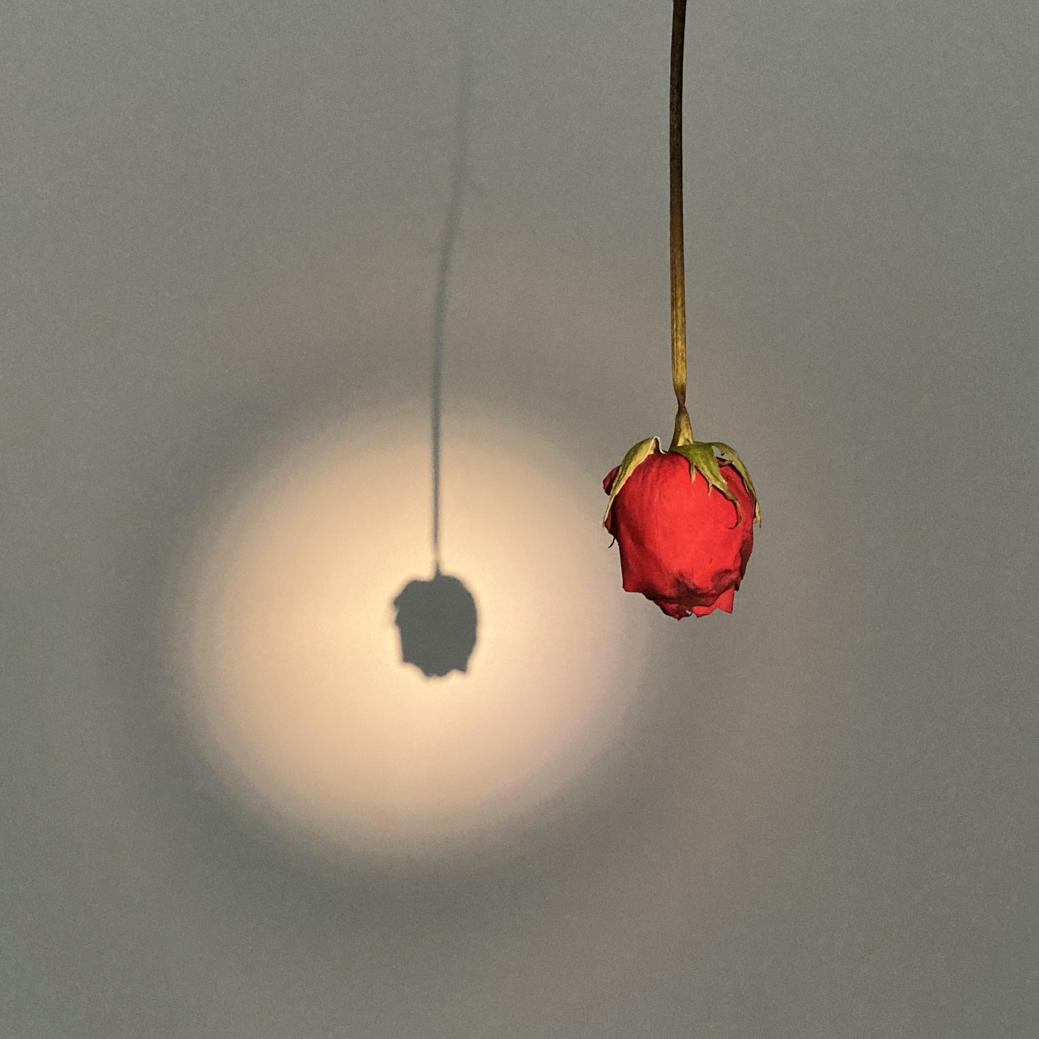 321094940_1443464279730022_6979334013808697383_N