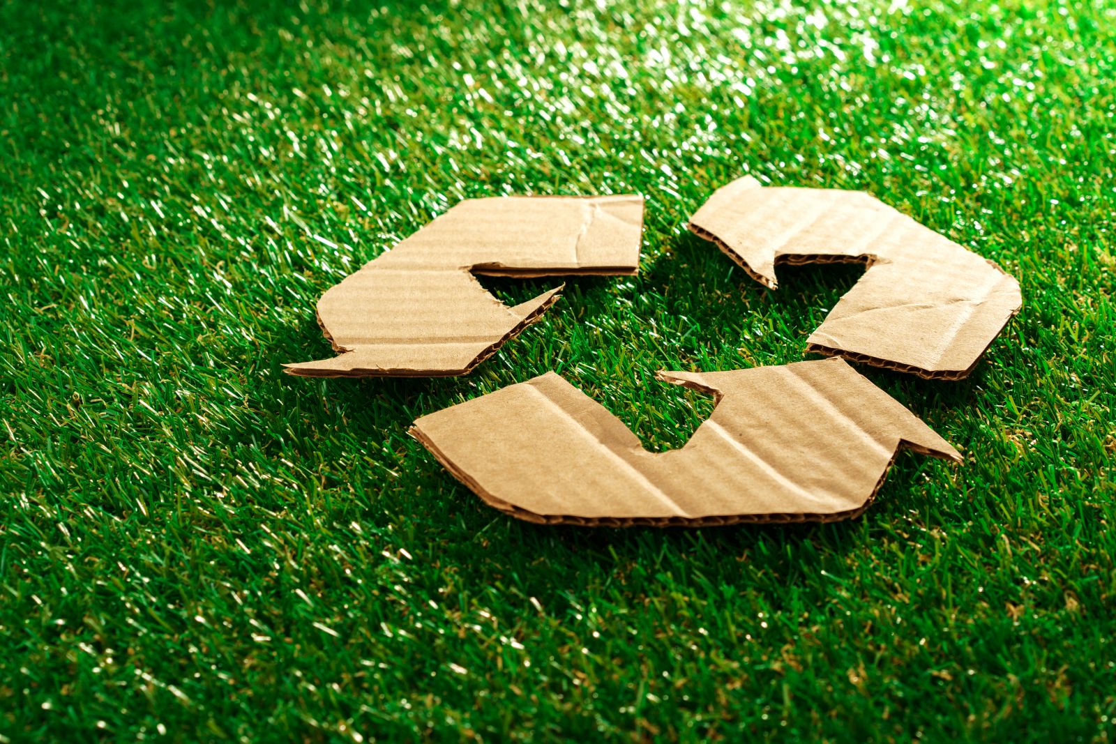 Recycling-eco-concept-with-cardboard-recycle-sign-2021-09-03-18-55-13-utc