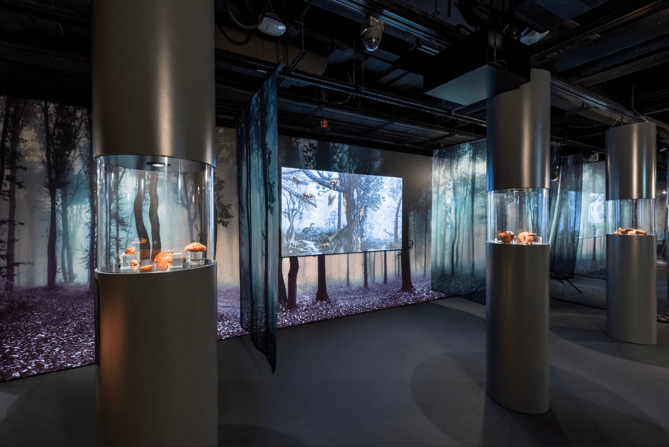 截屏2023-02-13 17.22.18