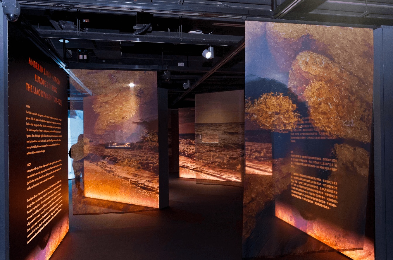 截屏2023-02-13 17.22.26