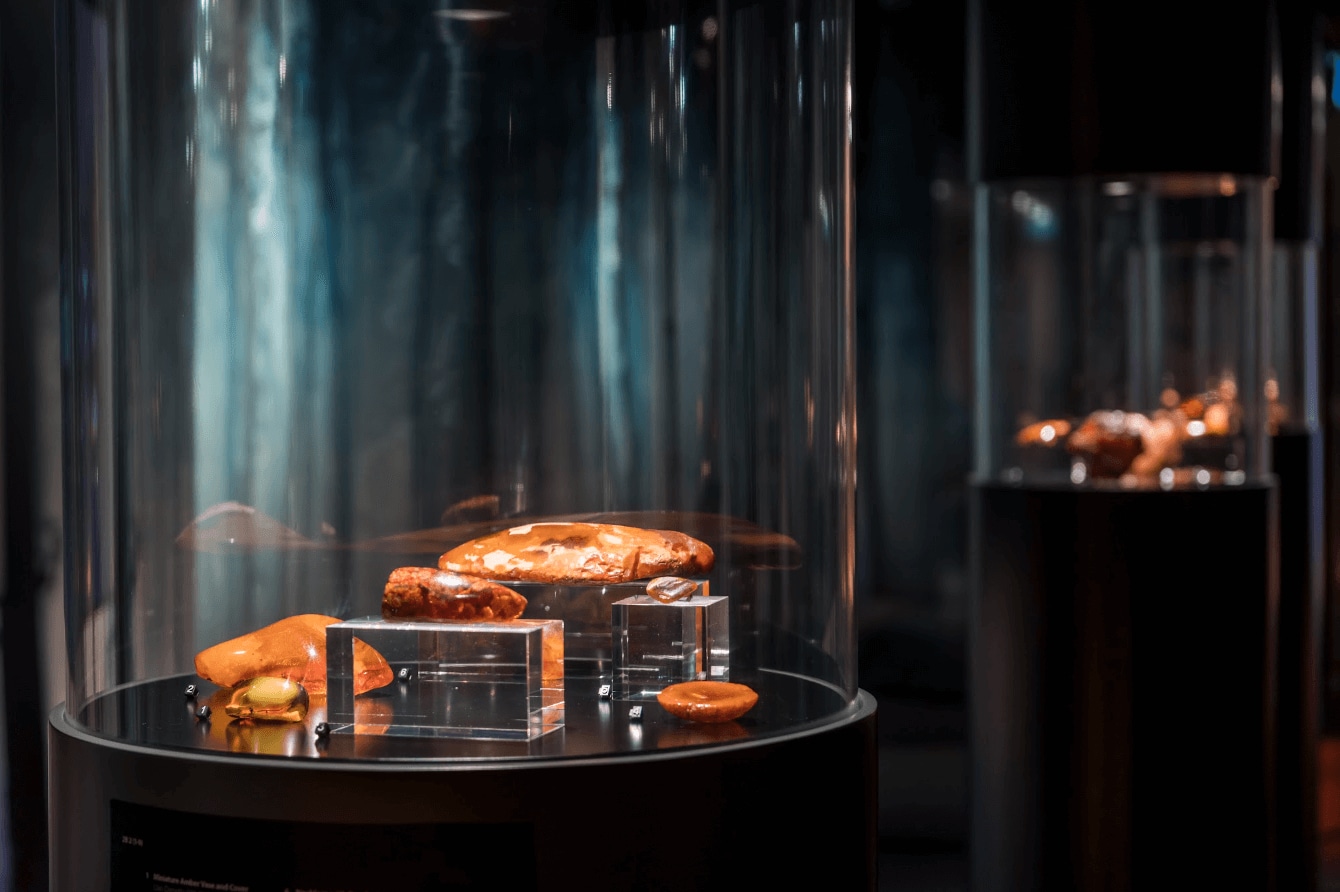 截屏2023-02-13 17.22.35