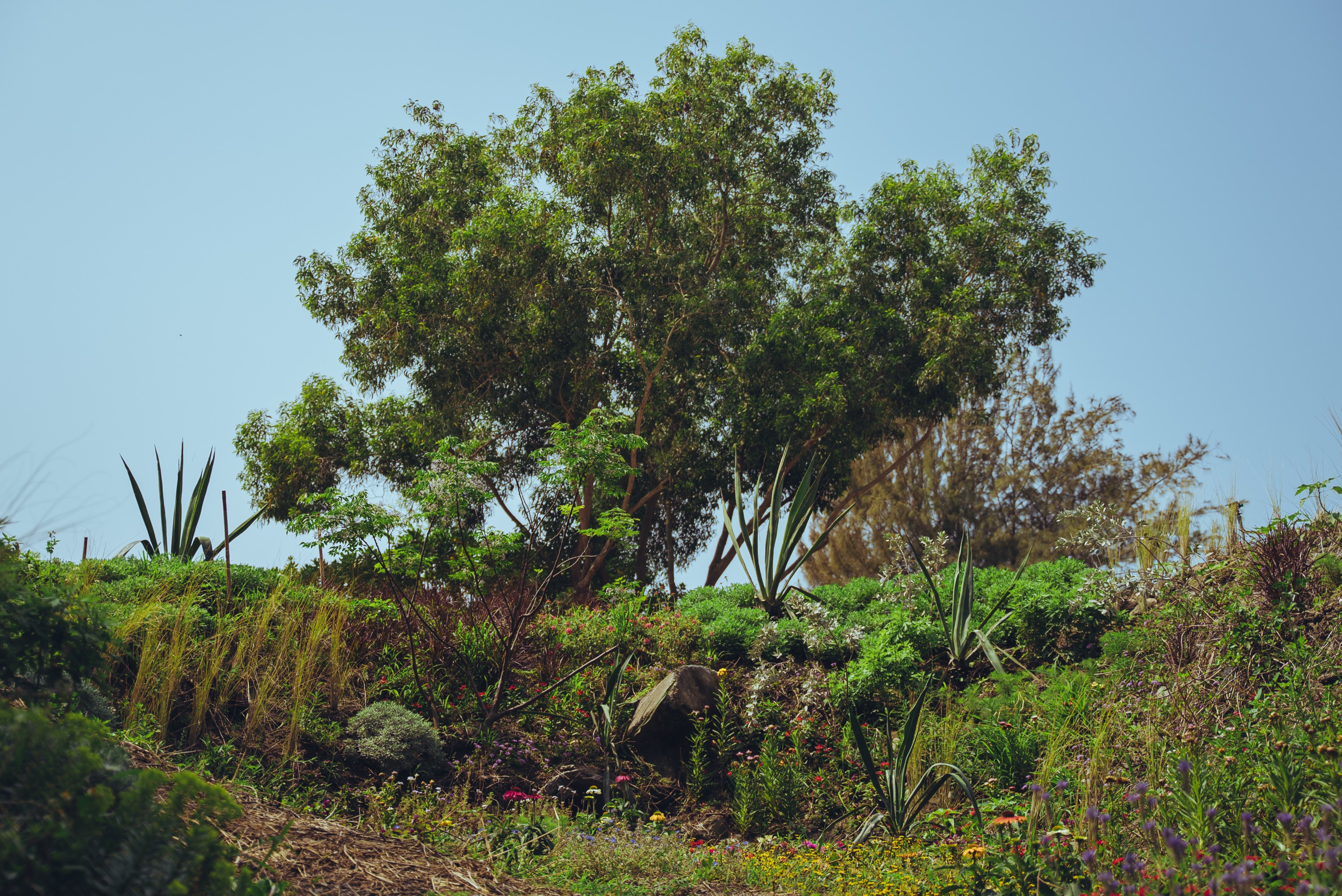 藝術在一座小島_吳瑪悧＆吳宗憲_覓境Seeking Wonderland-01