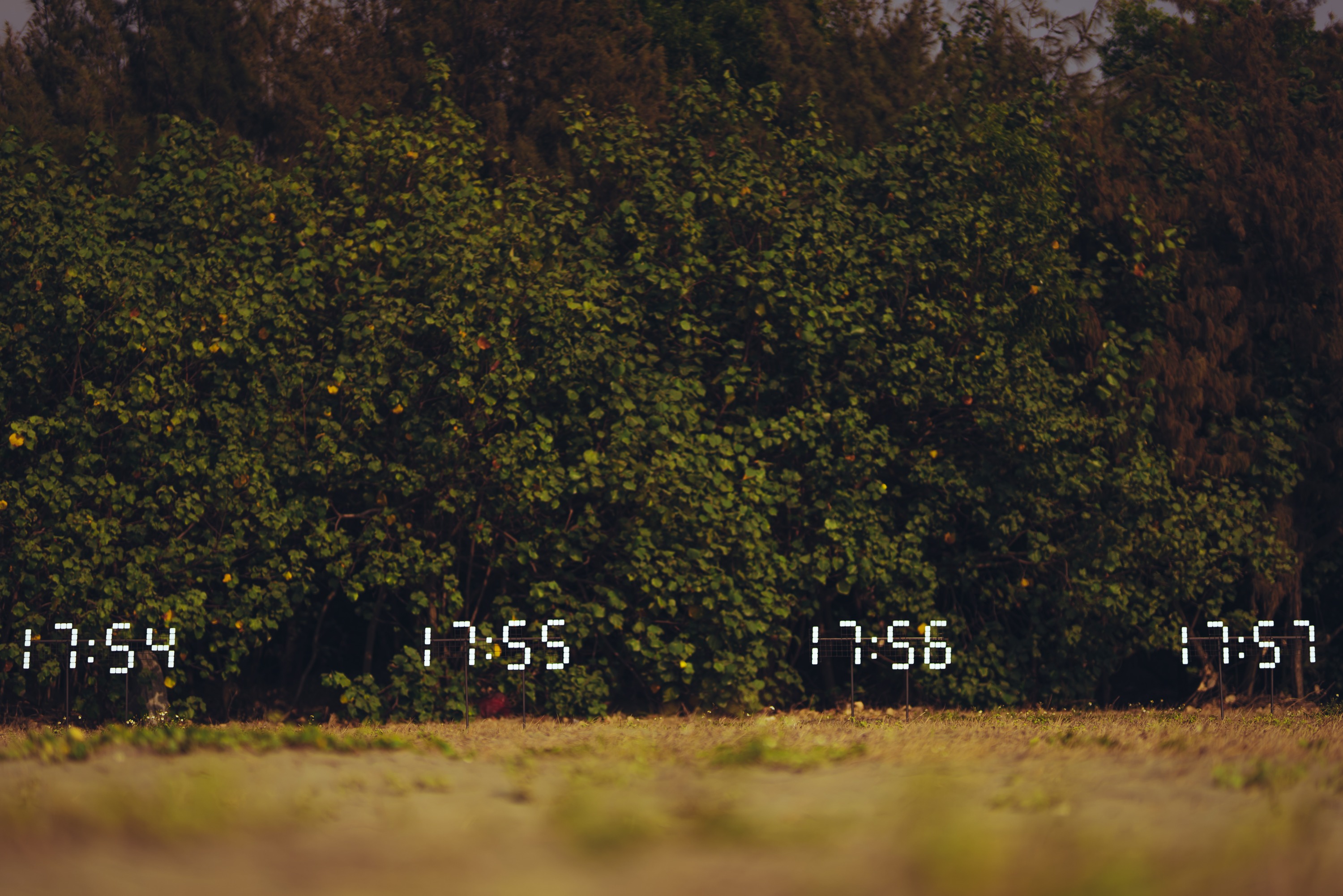 藝術在一座小島_謝佑承_一刻A moment in time(局部)-02