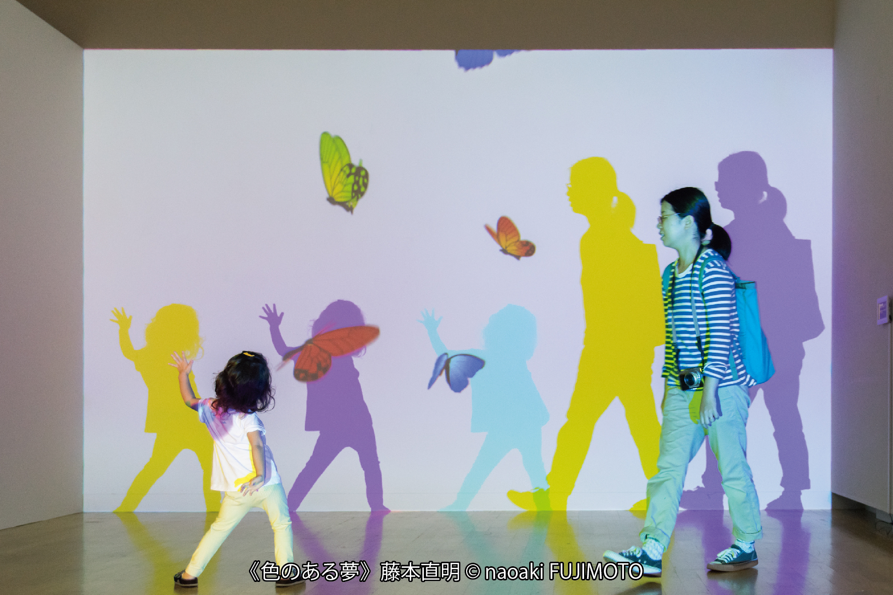 06 彩蝶舞夢 (色のある夢)