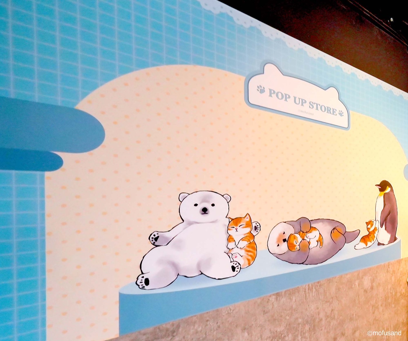 圖1-3夏日水族喵區