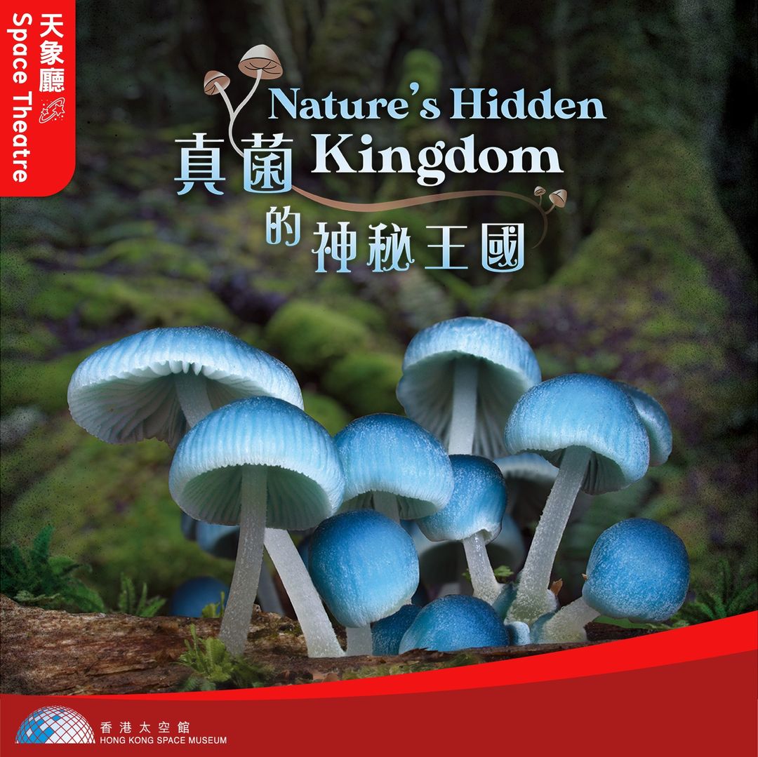 325142571_747078049735576_6999398078092650672_N