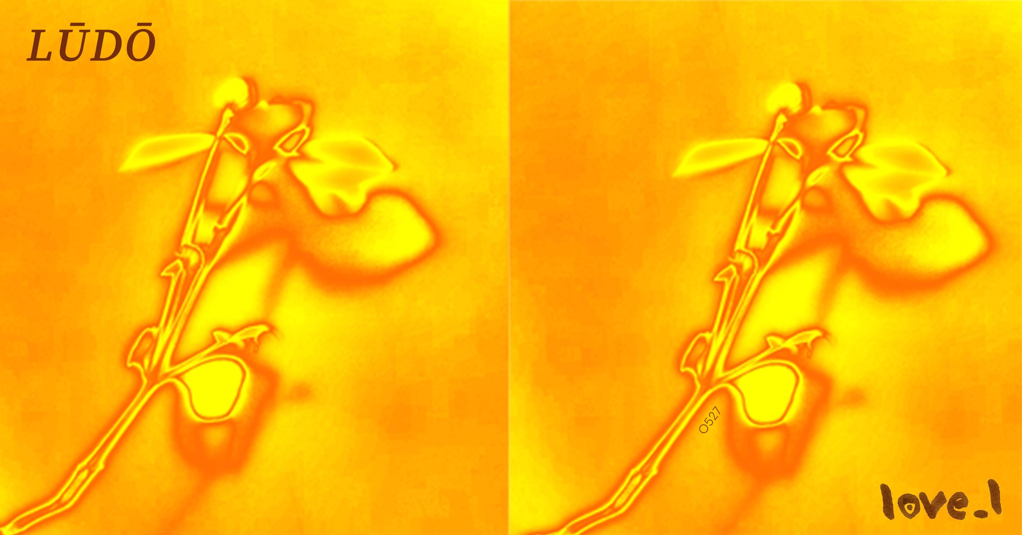 343071968_1177482386171246_5077991352281476928_n