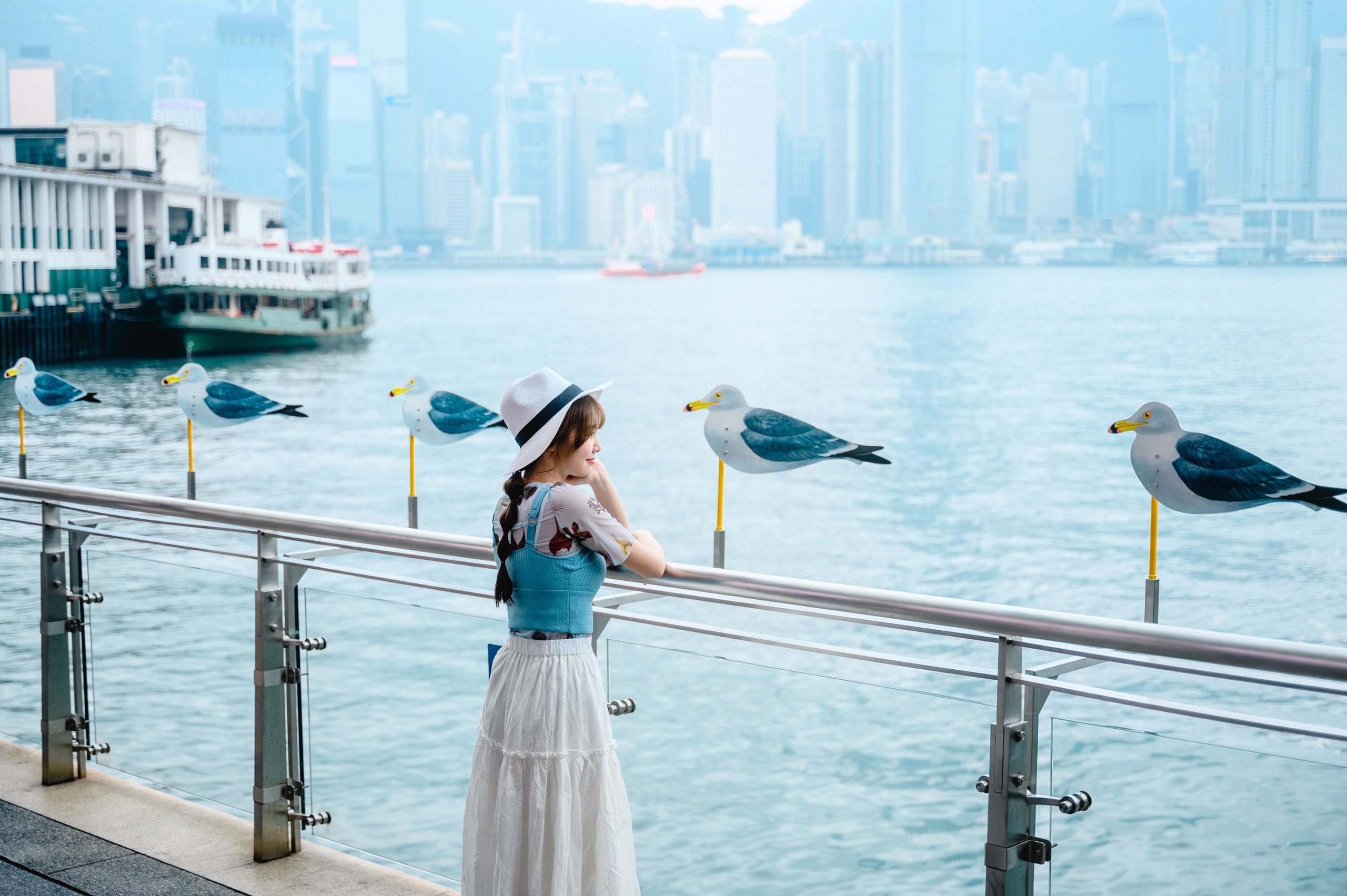 Seagulls-by-the-Harbour_12-scaled