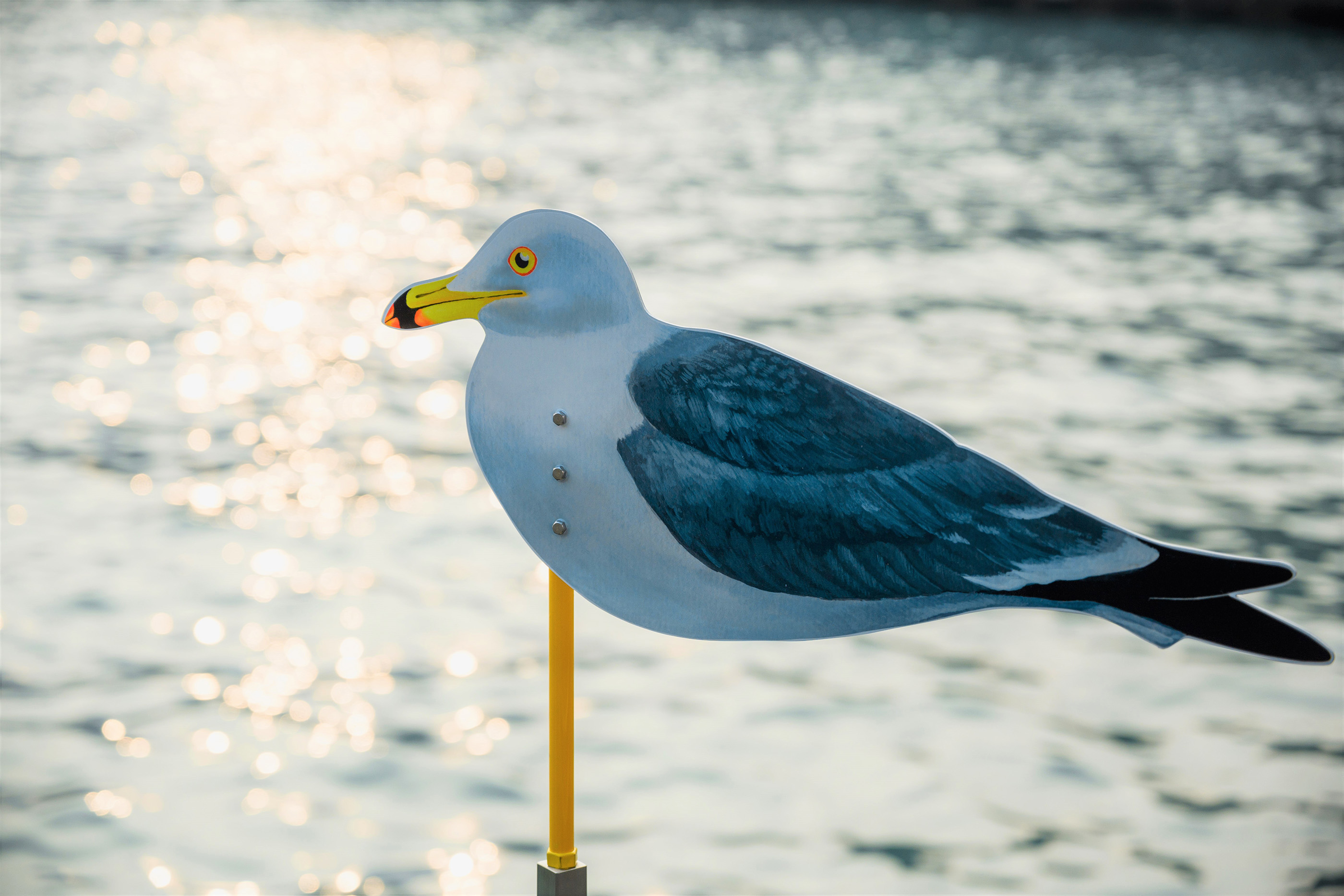 Seagulls by the Harbor @Harbour City_3