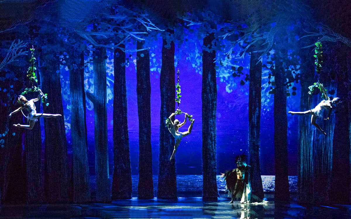 swan-lake-acrobatic-ballet-drama-02