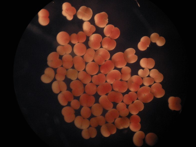 Screenshot 2023-06-13 16.39.09