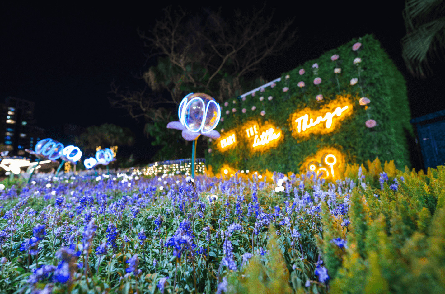 截屏2023-07-14 11.02.53