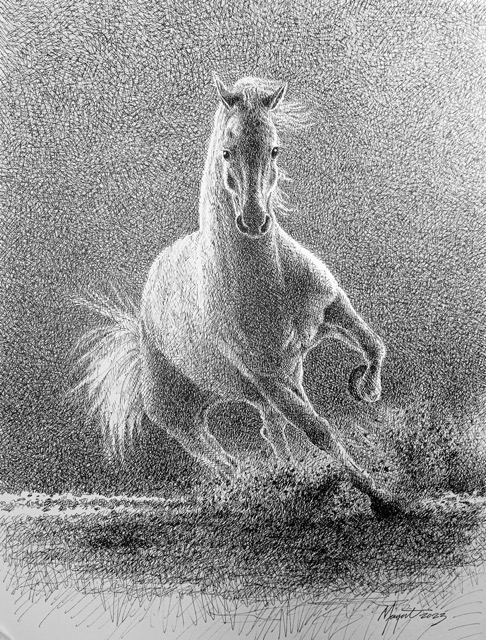 Reynaldo Magat - Equine 02 2023 H42xW27.5cm (57x42.5cm framed) Pen and ink on Strathmore Paper