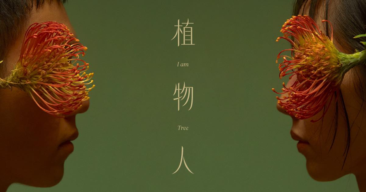 399595557_859432209517755_4949511671241503002_N