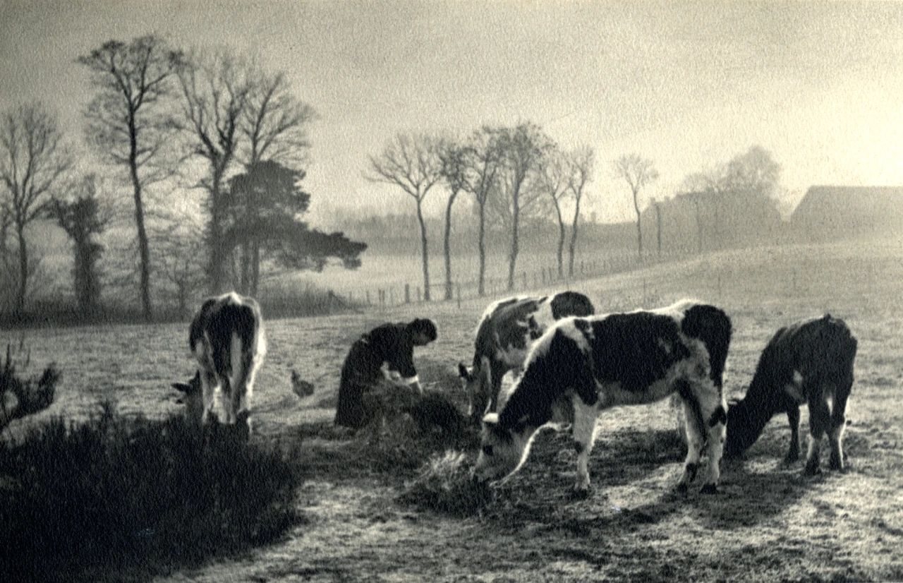 费尔南·比尼翁《冬餐》