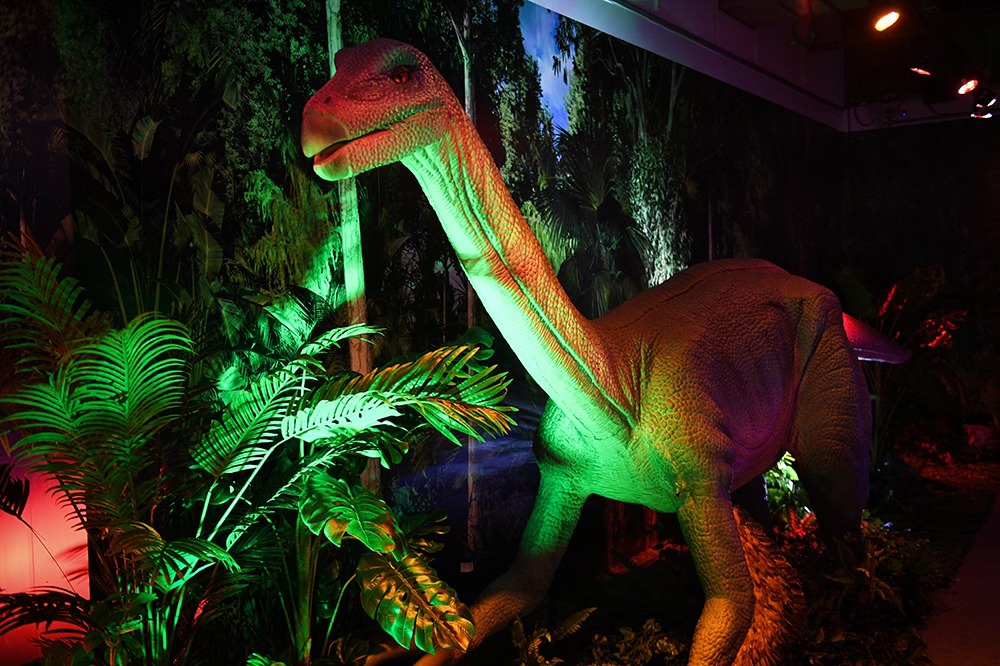 Many 1:1 life-size, lifelike and lifelike simulated Jurassic dinosaurs are on display