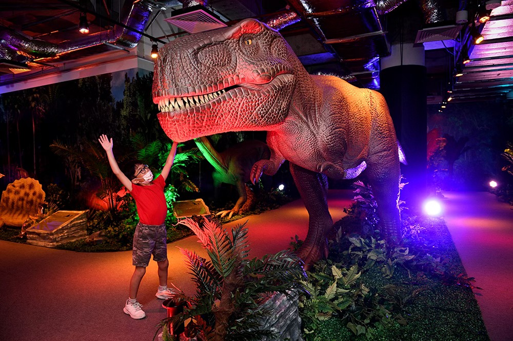 397961618_825274856265689_6603118840102148876_N