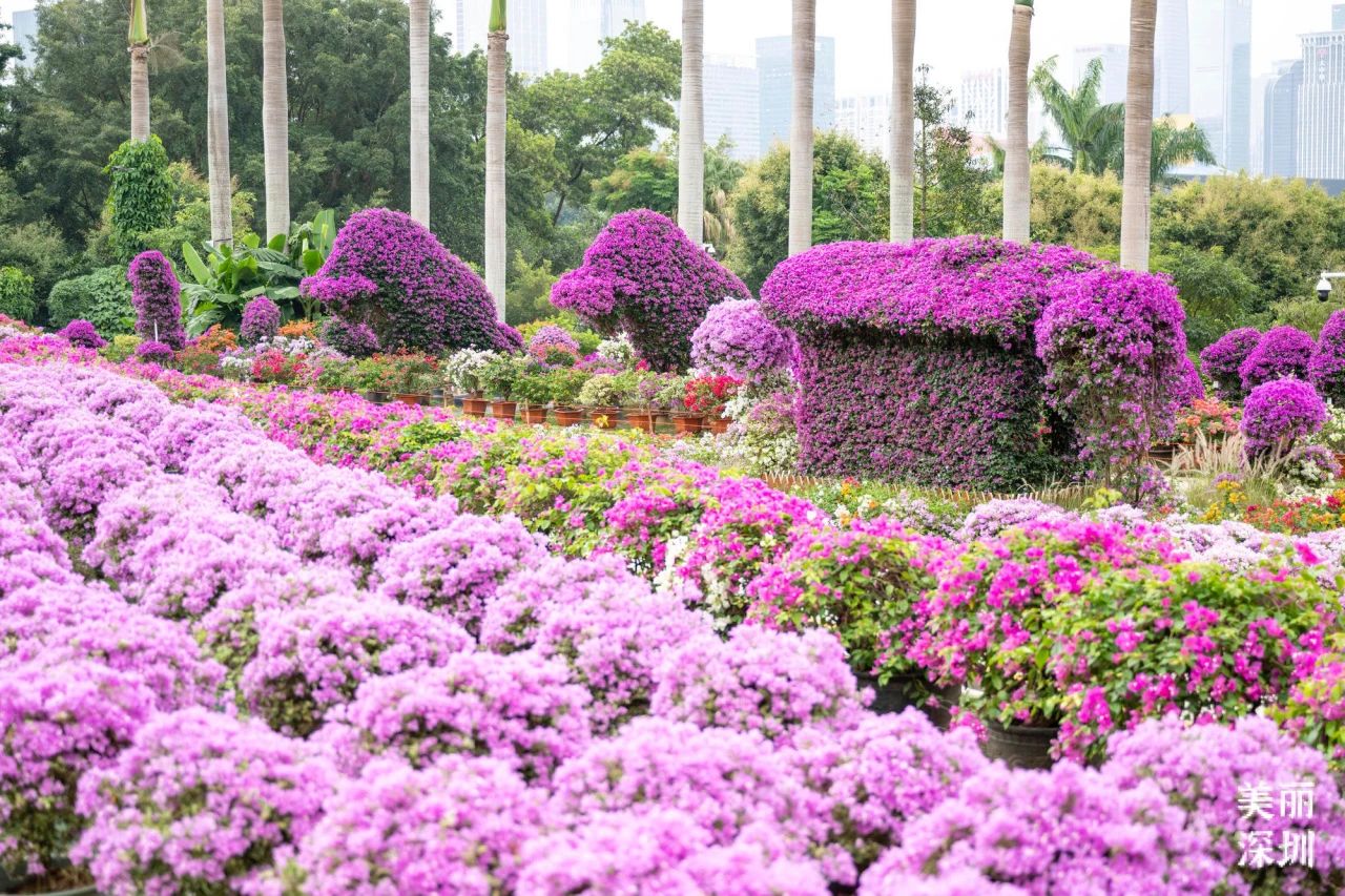 8d94544e9a0975e0cc5f691ca77f622a