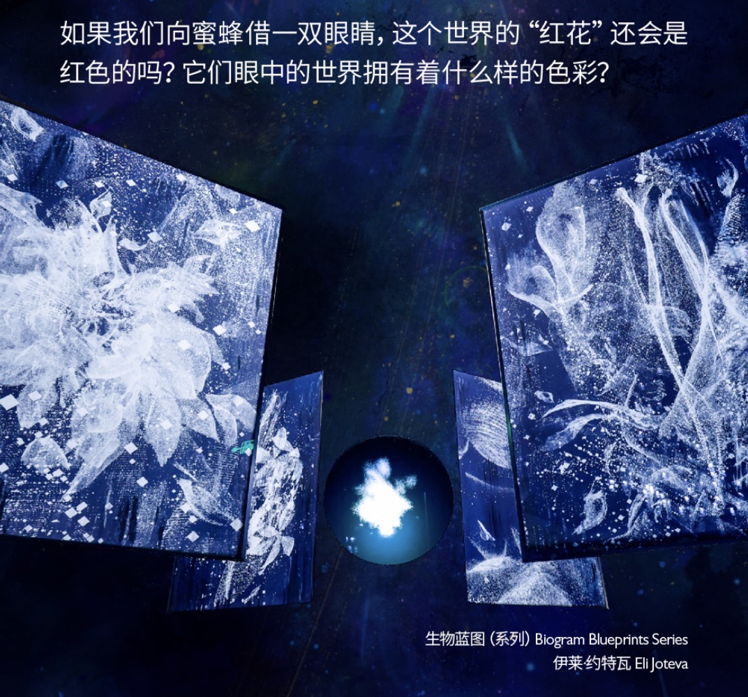 截屏2023-11-24 18.14.37