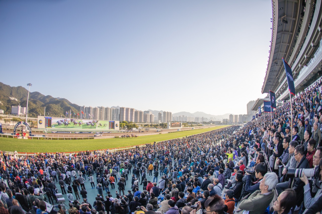 賽事匯聚來自世界各地的頂尖賽駒及騎師 大