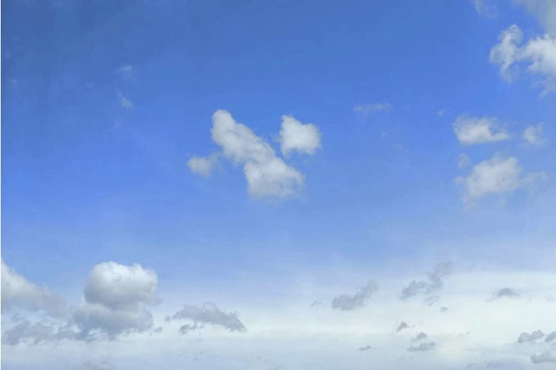 2311261855416a66d52ca5429faaeaf3f0ec1eb3cb_790